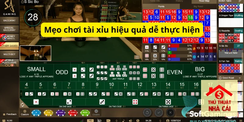 Mẹo chơi tài xỉu hiệu quả dễ thực hiện