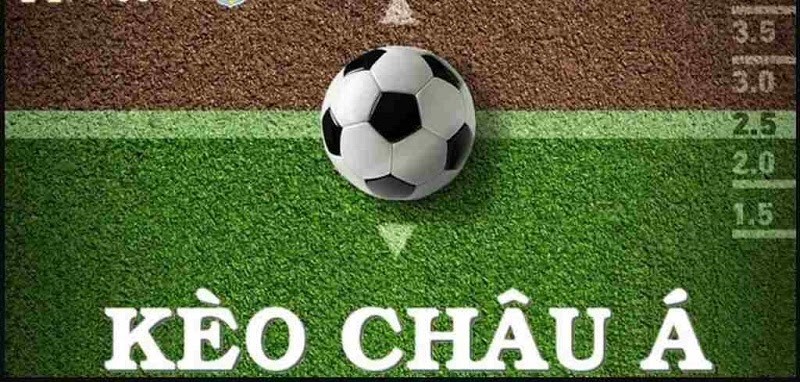Kinh nghiệm soi tỷ lệ kèo Chấp Châu Á chính xác