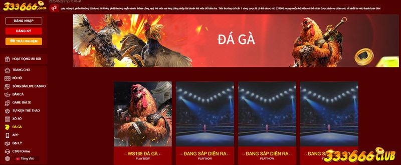 top 9 website đá gà trực tiếp Campuchia