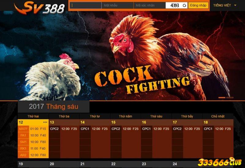 SV388 – Website đá gà uy tín hiện nay